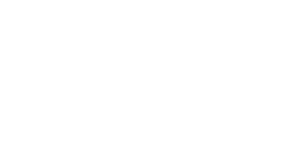 LOCAL SUPPORT